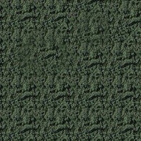 Sunlit Ground cover med cnfr grn Sunlit Ground cover med cnfr grn
