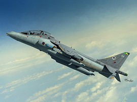 Sword Harrier T10/12 Trainer Jet Aircraft