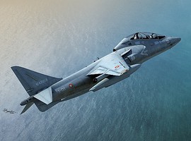 Sword Harrier II TAV8B Trainer Jet Aircraft