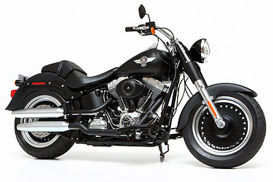 Tamiya Harley Davidson FLSTFB Fat Boy Lo Bike Plastic Model Motorcycle Kit 1/6 Scale #16041