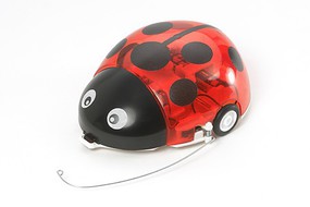 Wall Hugging Ladybug