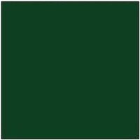 Tru-Color Southern Green 1oz