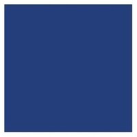 Tru-Color DME/IC&E Blue 1oz