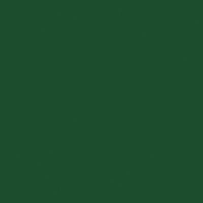 Tru-Color REA Green 2oz Hobby and Model Enamel Paint #2078