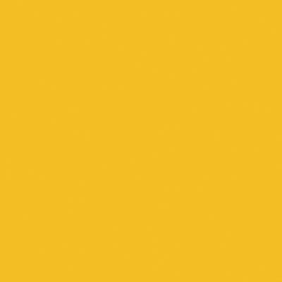 Tru-Color Chessie Yellow 2oz Hobby and Model Enamel Paint #2305