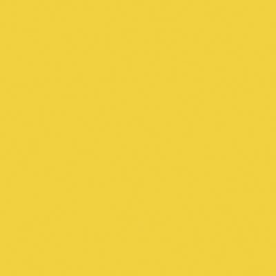Tru-Color Railroad Color Acrylic Paint 2oz 59.1ml Florida East Coast Modern Yellow