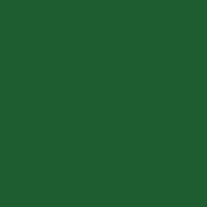 Tru-Color Missouri-Kansas-Texas MKT Green 1oz Hobby and Model Enamel Paint #318