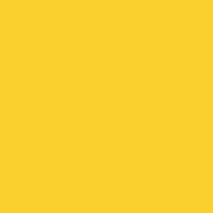 Tru-Color Railroad Color Acrylic Paint 1oz 29.6ml Florida East Coast Modern Yellow