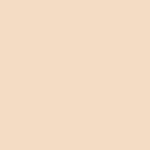 Tru-Color Matte Stucco Light Tan 1oz Hobby and Model Enamel Paint #415