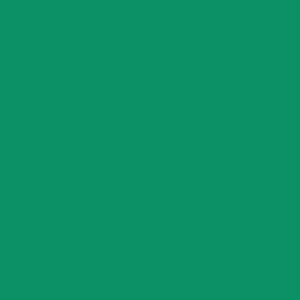 Tru-Color New York Central Jade Green 1oz Hobby and Model Enamel Paint #43