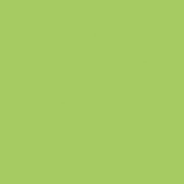 Tru-Color Matte Roof Lime Green 1oz Hobby and Model Enamel Paint #445