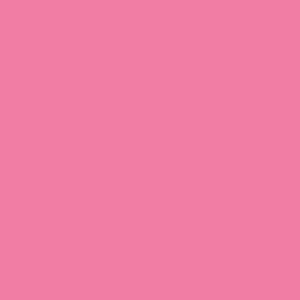 Tru-Color Auto Hot Pink 1oz Hobby and Model Enamel Paint #505