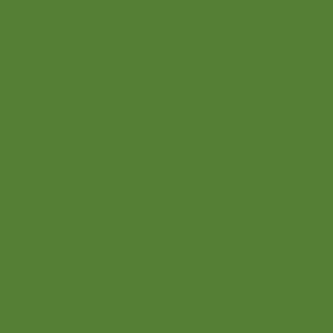 Tru-Color Auto Sassy Grass Green 1oz Hobby and Model Enamel Paint #519