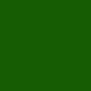 Tru-Color Kandy Chlorophyll Green 1oz Hobby and Model Enamel Paint #558