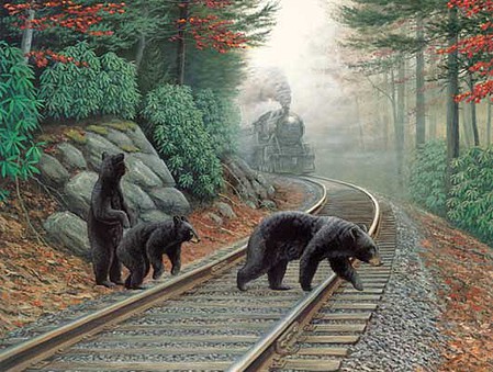 Train-Enthusiast Bear Tracks 500pc