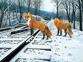Train-Enthusiast Fox Tracks 500pc Train-Enthusiast Fox Tracks 500pc