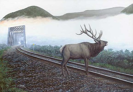 Train-Enthusiast Elk Tracks Pzl 550pc