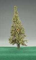 Timberline Lodge Pole Green Pine Tree w/Real Wood Trunk 6'' to 9'' Model Railroad Tree #1114 Timberline Lodge Pole Green Pine Tree w/Real Wood Trunk 6'' to 9'' Model Railroad Tree #1114