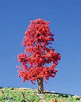 Timberline Indian Summer Deciduous Tree 6'' to 9'' Model Railroad Tree #224 Timberline Indian Summer Deciduous Tree 6'' to 9'' Model Railroad Tree #224