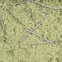 Timberline Mountain Meadow Forest Floor Foliage (Fine) Model Railroad Scenery #406 Timberline Mountain Meadow Forest Floor Foliage (Fine) Model Railroad Scenery #406
