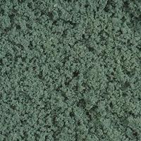 Timberline Alpine Green Ground Cover Foliage (Medium) Model Railroad Scenery #60302 Timberline Alpine Green Ground Cover Foliage (Medium) Model Railroad Scenery #60302