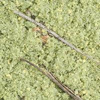 Timberline Spring Mountain Meadow (Fine) Foliage Ground Cover Model Railroad Scenery #60409 Timberline Spring Mountain Meadow (Fine) Foliage Ground Cover Model Railroad Scenery #60409
