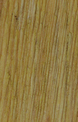 Timberline Timber Stain Honeywd  8oz
