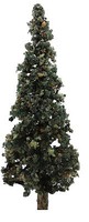 Timberline Smashed 8-11'' Nrthwds 50/ (50) Timberline Smashed 8-11'' Nrthwds 50/ (50)