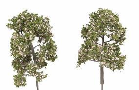 N-Scale-Arch Trees Spring Blssm Pnk 6/ Z-Scale (6) N-Scale-Arch Trees Spring Blssm Pnk 6/ Z-Scale (6)