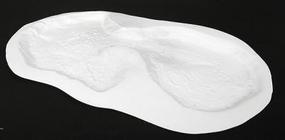 Unreal Mushroom Lake Pond Shape Unreal Mushroom Lake Pond Shape
