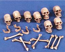 Verlinden 120-150mm Skulls & Bones Plastic Model Detailing Accessory Kit 1/16 - 1/12 Scale #1473