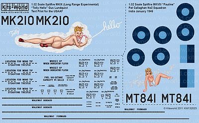Warbird Spitfire Mk IXc (LRE) Tolly Hello, MK VIII Plastic Model Aircraft Decal 1/32 Scale #132023