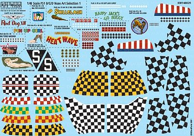 Warbird P51D Nose Art, Kill Markings & Checkers for 10 Aircraft Decal 1/48 Scale #148029