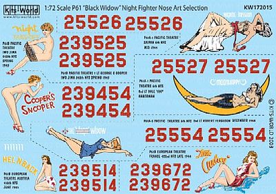 Warbird P61 Assorted Decals Plastic Model Decal Kit 1/72 Scale #172015