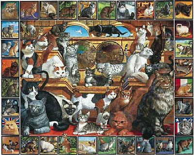 WhiteMount World of Cats Collage Puzzle (1000pc)