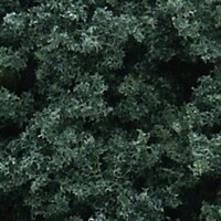 Woodland Foliage Cluster