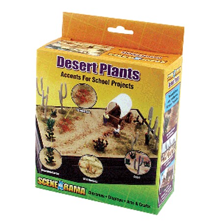 desert plants for kids