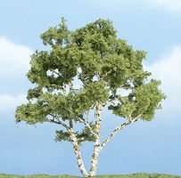 Woodland Premium Birch Tree 3-7/8'' Model Railroad Tree #tr1601