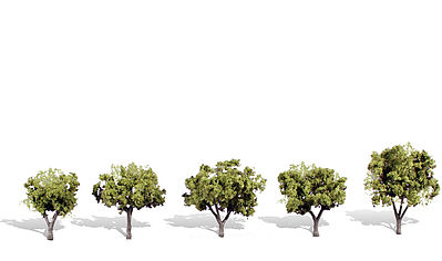 Woodland Early Light Trees 1 1/4 - 2 (5) Model Railroad Trees #tr3546