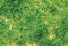 Bachmann SS Light Green Medium Foliage