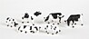 Cows Black/White (6) Cows Black/White (6)