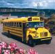 Boley Corporation American Buses - International(R) 3800 2-Axle School Bus -- Yellow - HO-Scale