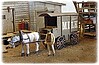 Milk & Ice Wagons w/Horses - Kit Milk & Ice Wagons w/Horses - Kit