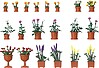 Flower Pots w/Flowers Assorted Sizes & Colors (20) Flower Pots w/Flowers Assorted Sizes & Colors (20)