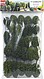 Deciduous Tree Assortment - pkg(25) Deciduous Tree Assortment - pkg(25)