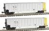 Deluxe Innovations Twin Tub ''Coal Porter'' Gondola 2-Pack -- Wisconsin Electric Power (WEPX) - N-Scale
