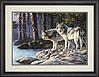 Gray Wolves Gray Wolves