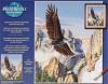 Soaring Eagle Soaring Eagle