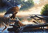 Eagle Hunter Eagle Hunter