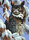 Winter Watch Winter Watch